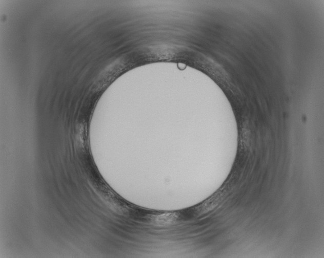 X0000061150122200512161605