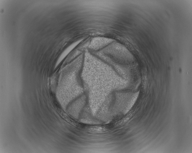 X0000061150123200512161605