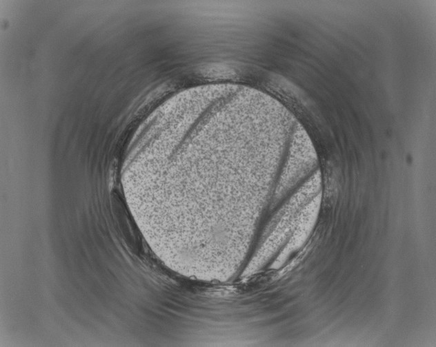 X0000061150124200512161605