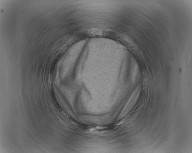 X0000061150125200512161605