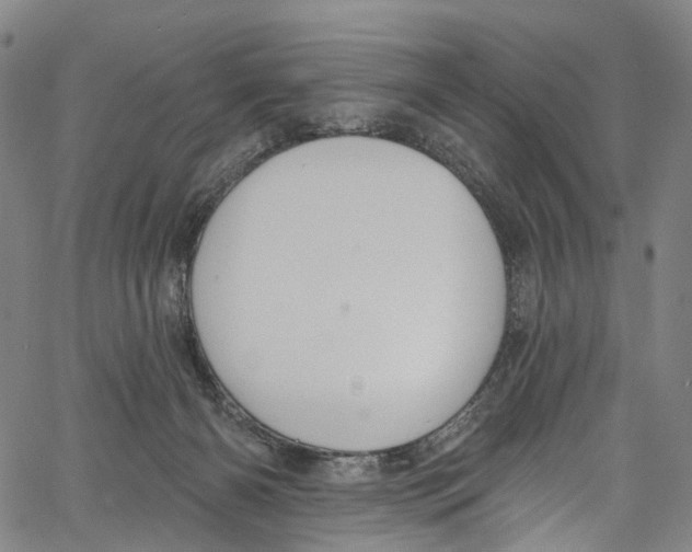 X0000061150126200512161605