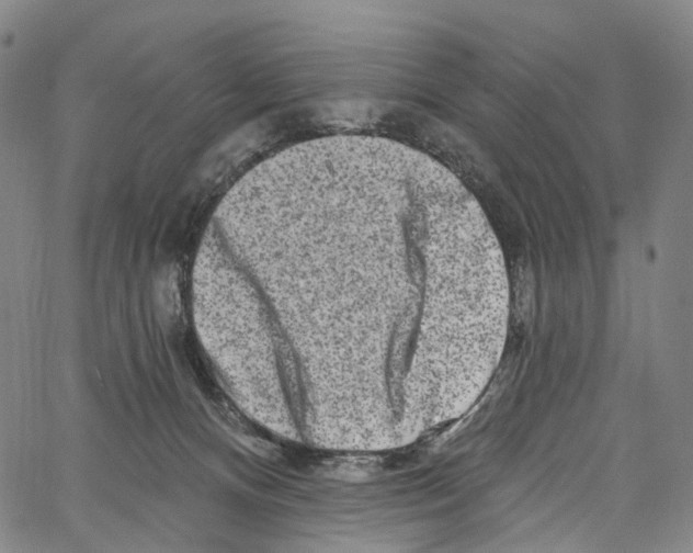 X0000061150128200512161605