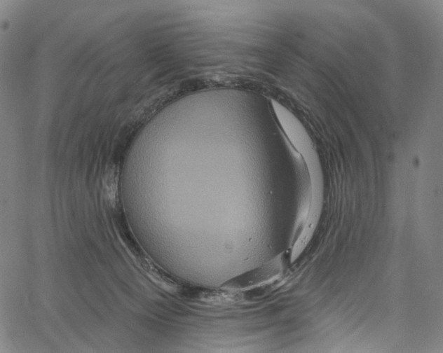 X0000061150129200512161605