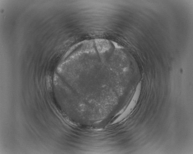 X0000061150130200512161605