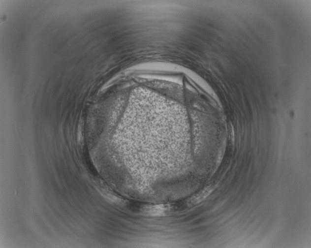 X0000061150131200512161605