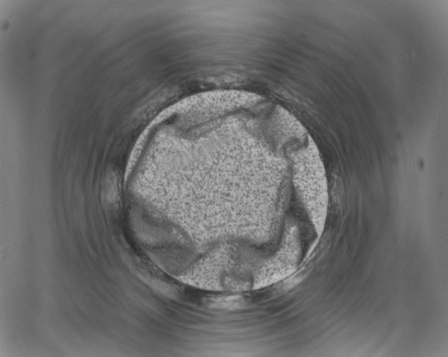 X0000061150132200512161605