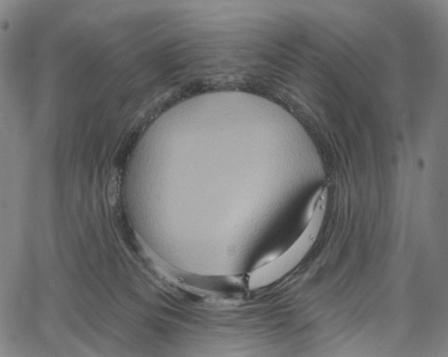 X0000061150133200512161605