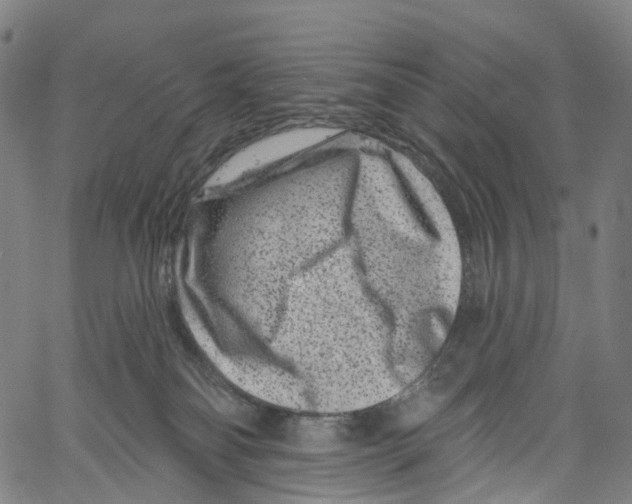 X0000061150134200512161605