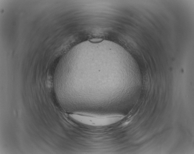 X0000061150135200512161605