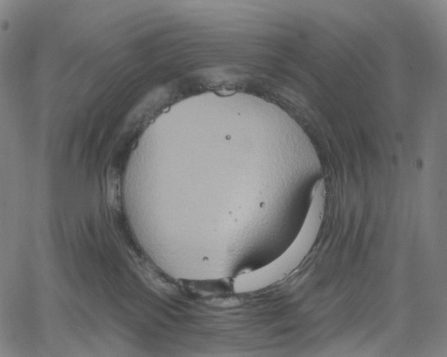 X0000061150138200512161605