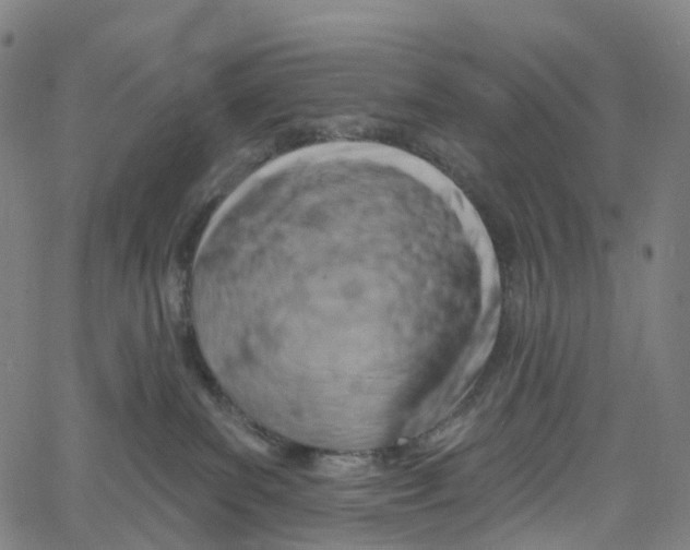 X0000061150139200512161605