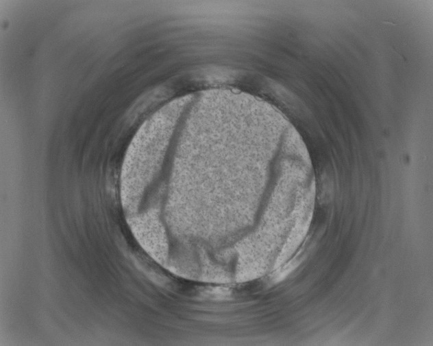 X0000061150140200512161605