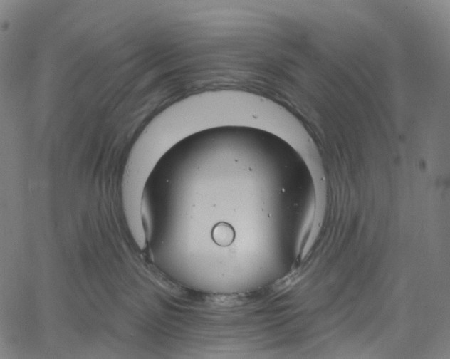 X0000061150141200512161605