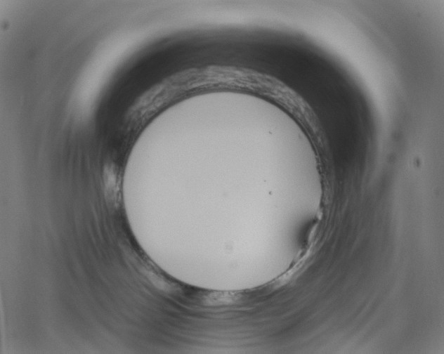 X0000061150142200512161605