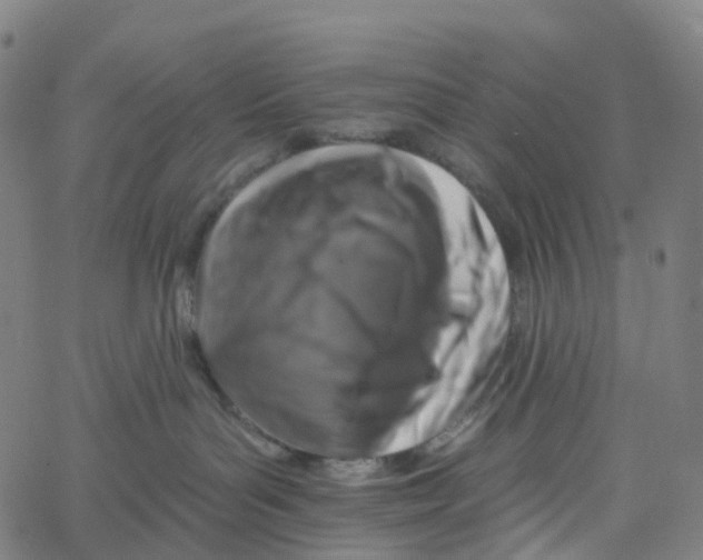 X0000061150143200512161605