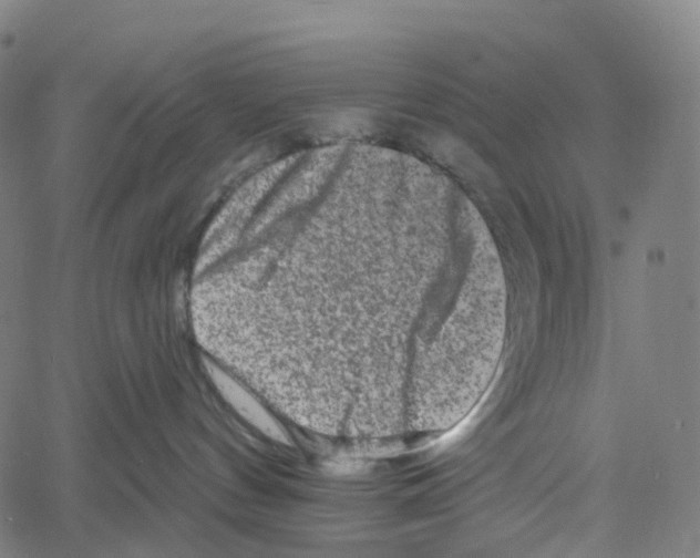 X0000061150144200512161605