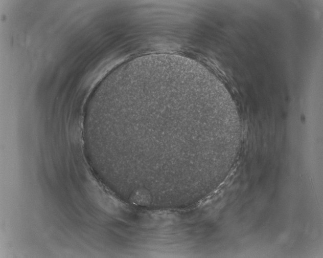 X0000061150146200512161604