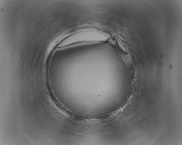 X0000061150150200512161604