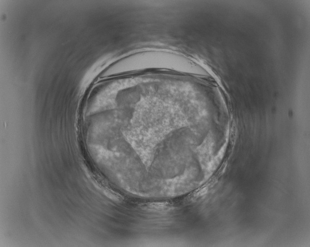 X0000061150151200512161604