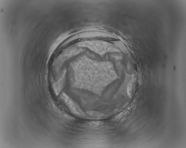 X0000061150152200512161604