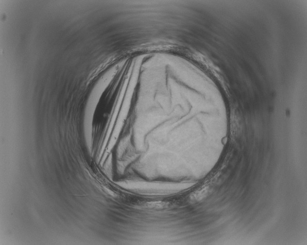 X0000061150153200512161604