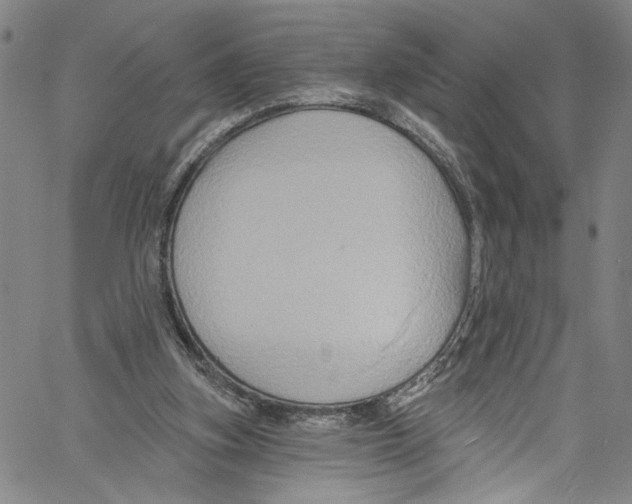 X0000061150155200512161604