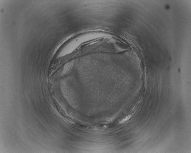 X0000061150156200512161604