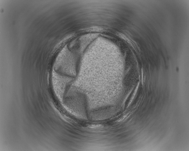 X0000061150157200512161604