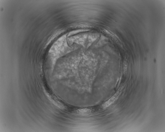 X0000061150158200512161604