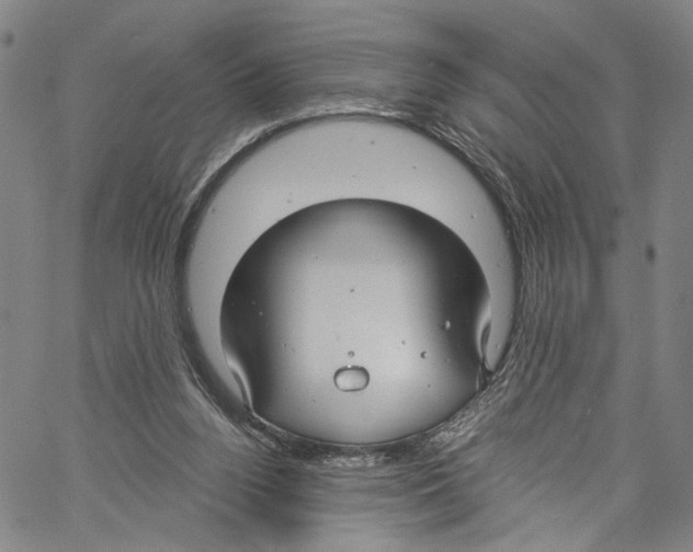 X0000061150160200512161604