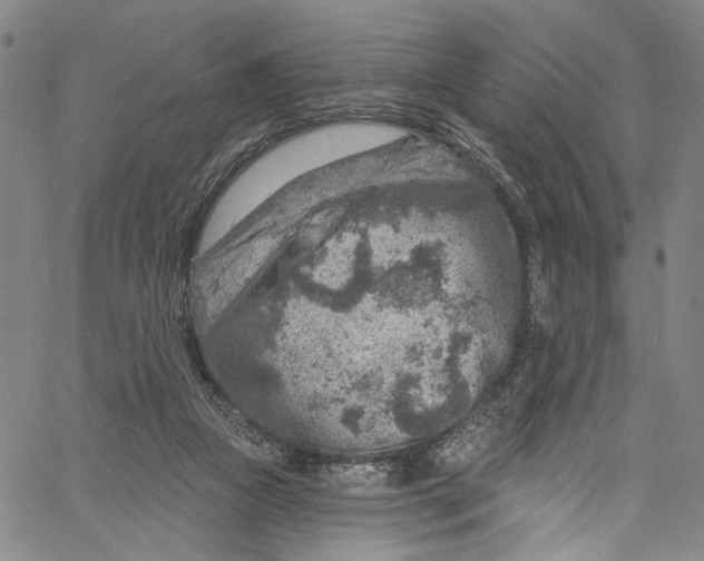 X0000061150161200512161604