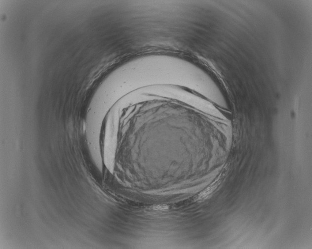 X0000061150162200512161604