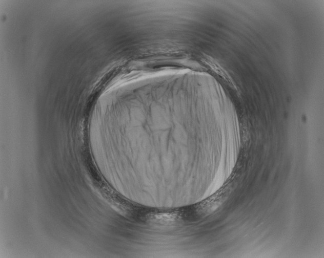 X0000061150163200512161604