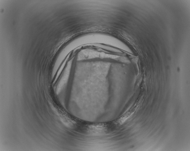 X0000061150164200512161604