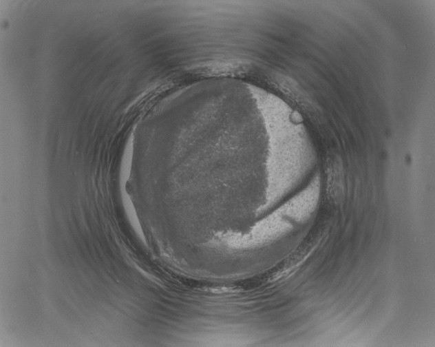 X0000061150165200512161604