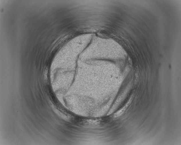 X0000061150166200512161604