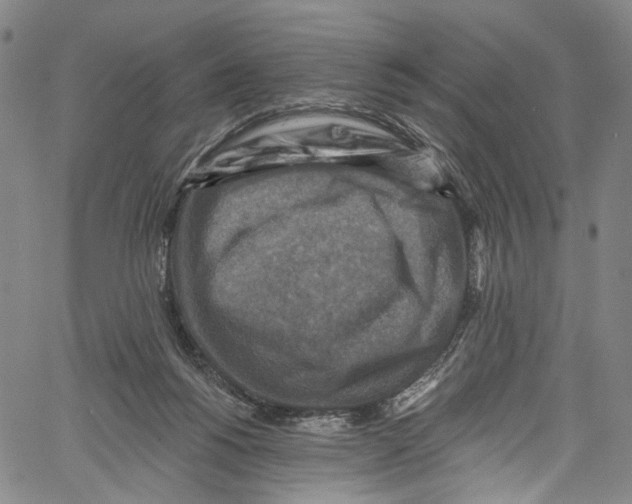 X0000061150168200512161604