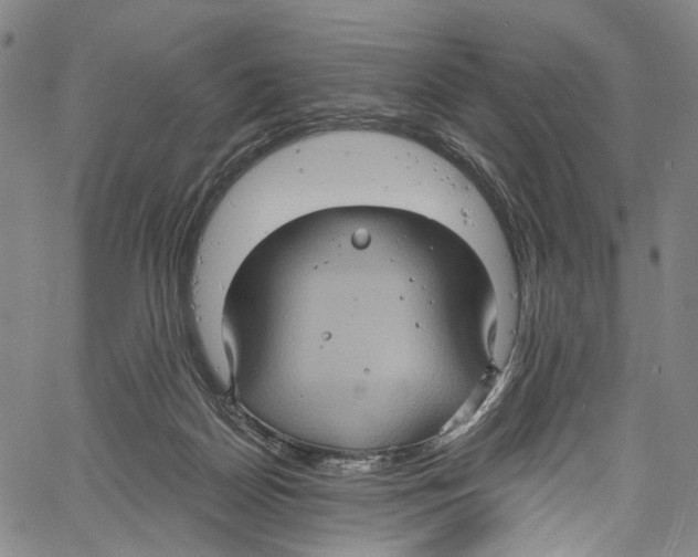 X0000061150170200512161604