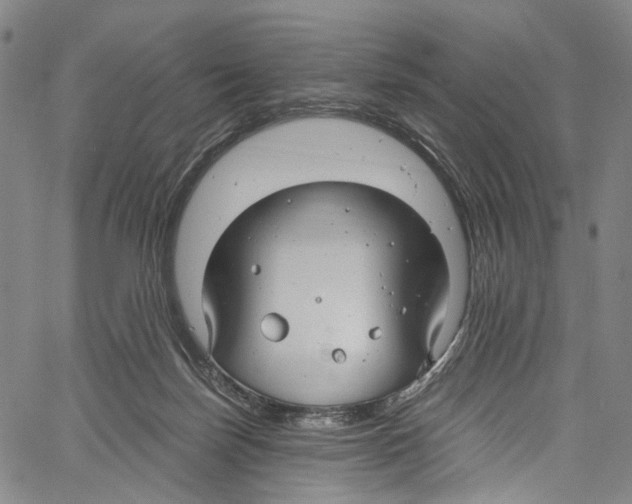 X0000061150171200512161604