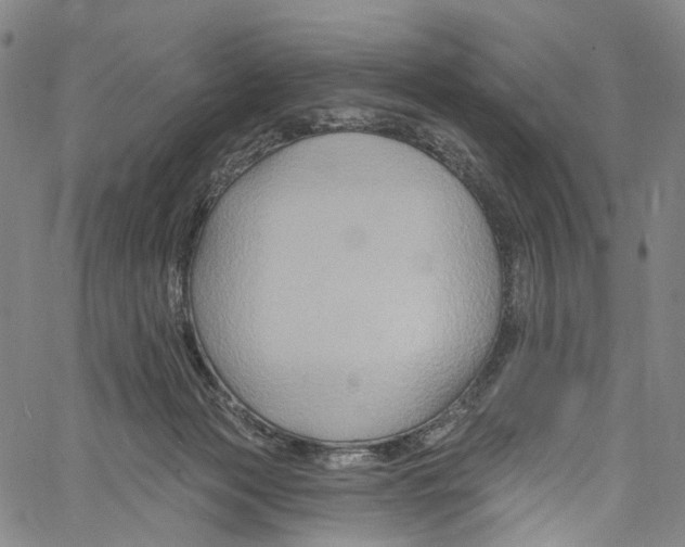 X0000061150173200512161604