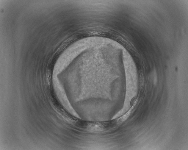 X0000061150174200512161604