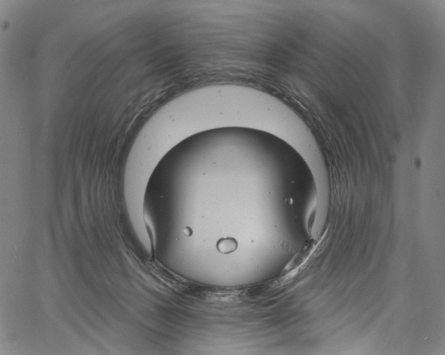 X0000061150175200512161604