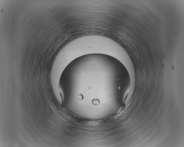 X0000061150176200512161604