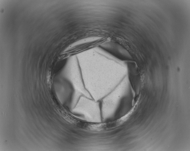 X0000061150178200512161605