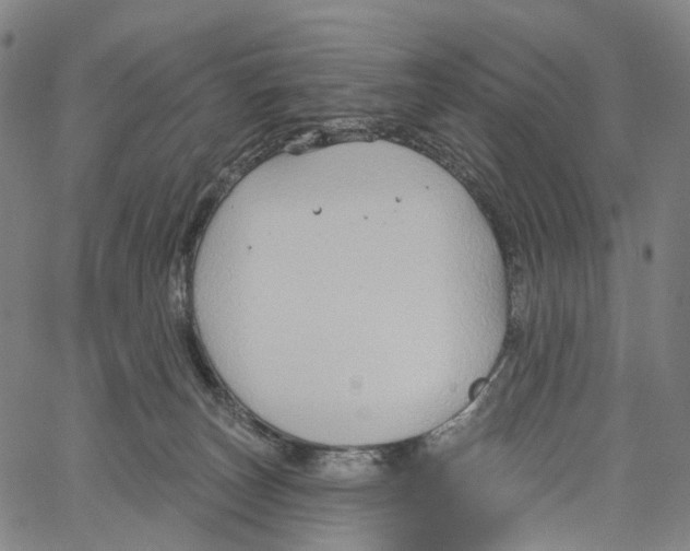 X0000061150179200512161605