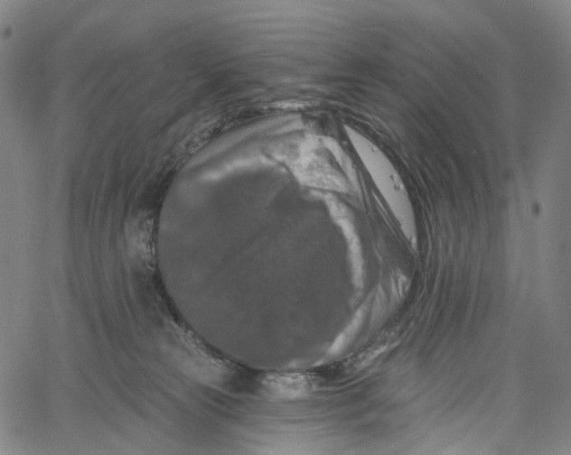 X0000061150181200512161605