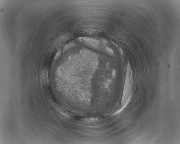 X0000061150182200512161605