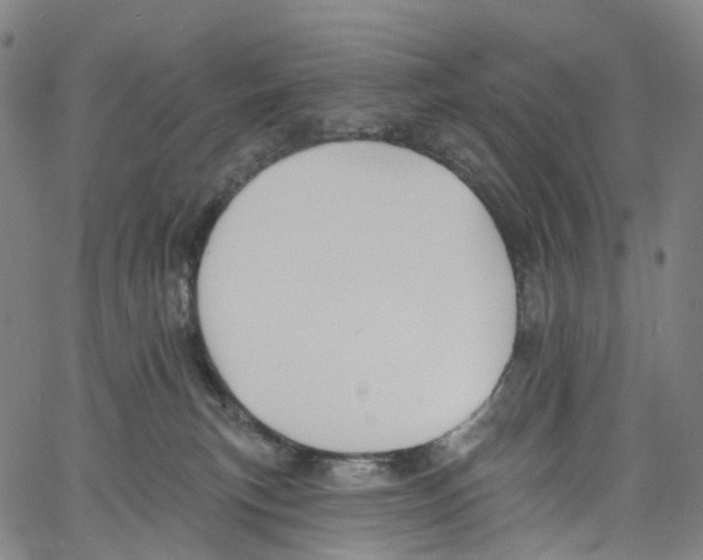 X0000061150183200512161605