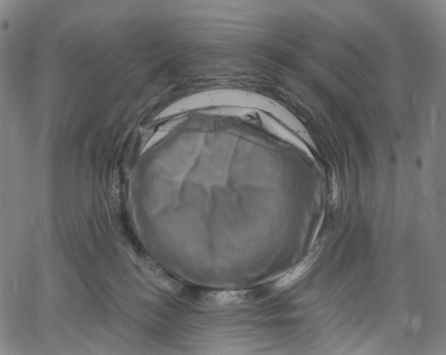 X0000061150184200512161605