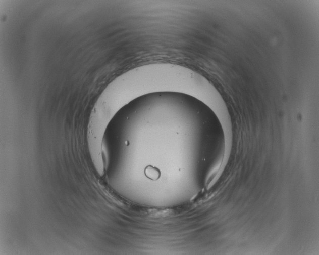 X0000061150185200512161605